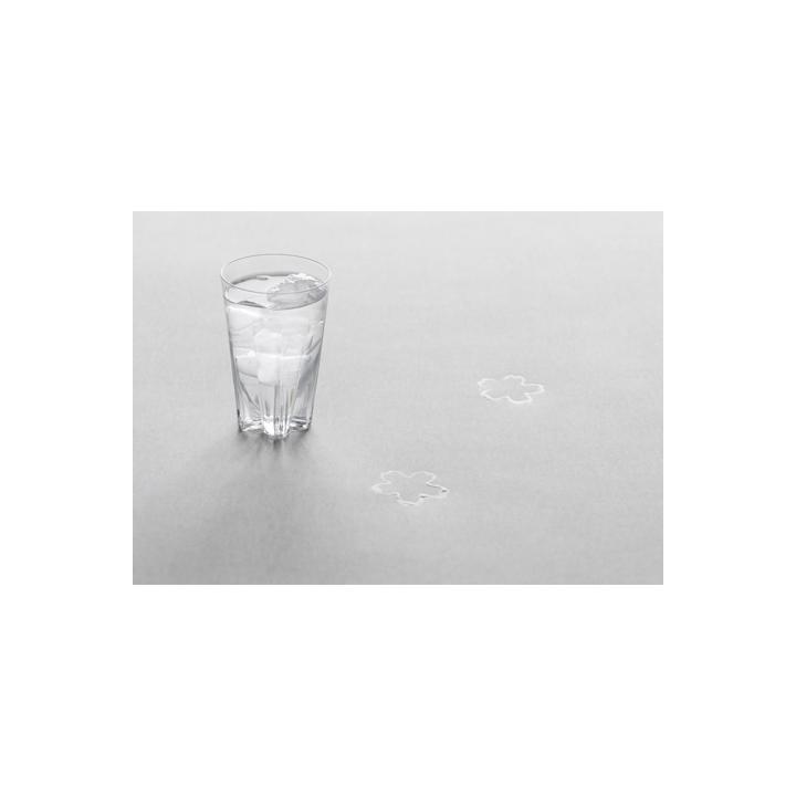 【100%】SAKURASAKU glass Tumbler / セット品 （グラス）