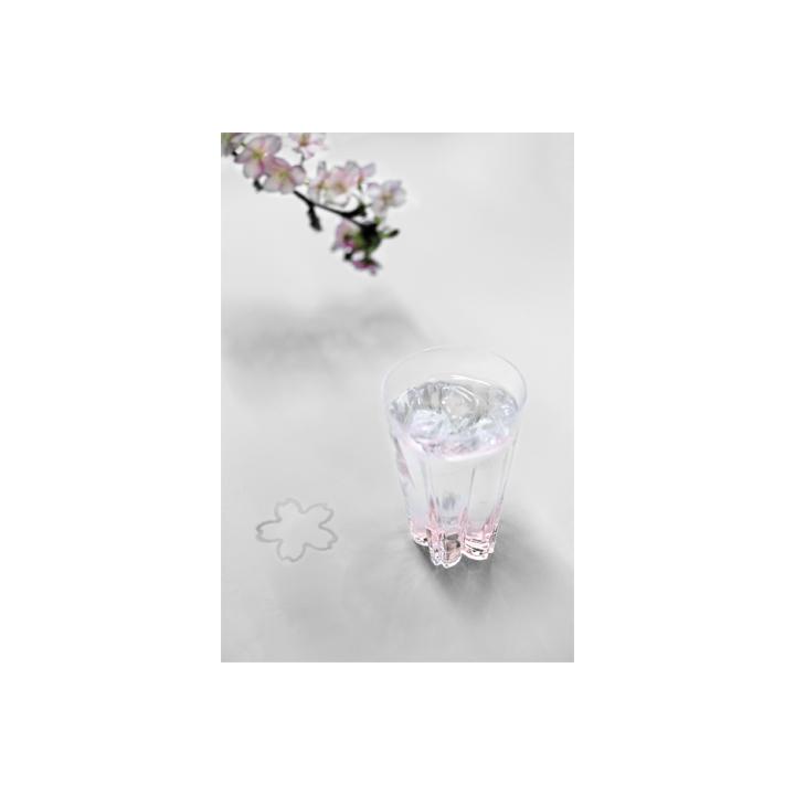 【100%】SAKURASAKU glass SAKE / セット品 （グラス）
