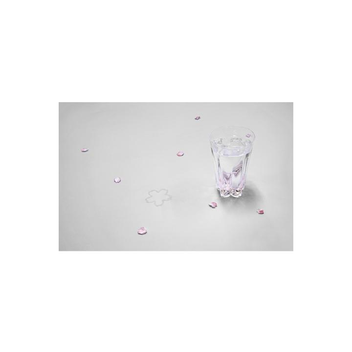 【100%】SAKURASAKU glass Tumbler / ピンク （グラス）